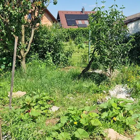 V Rodinnem Dome Severni Homestay