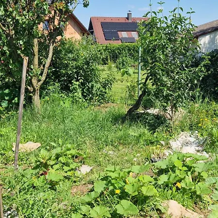 V Rodinnem Dome Severni Alloggio in famiglia